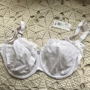 Freya Rio underwire bra NWT 36G